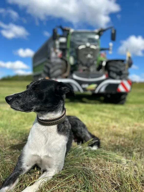Customer tractor with a TractorBumper